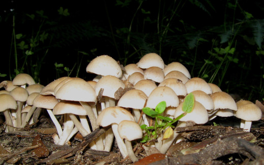 589759 (a): :1679x1050